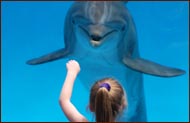 SC aquarium